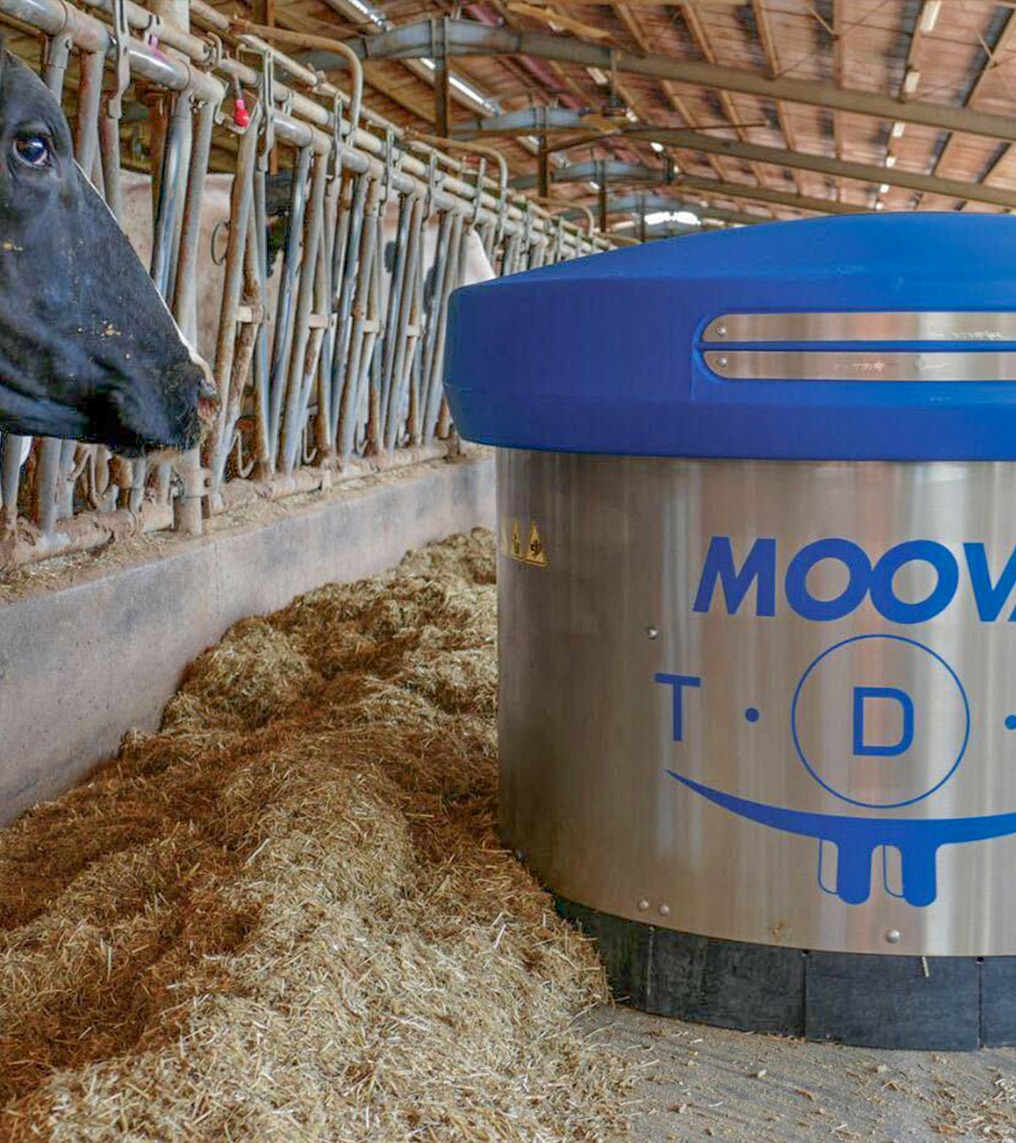 img_spingiforaggio_01